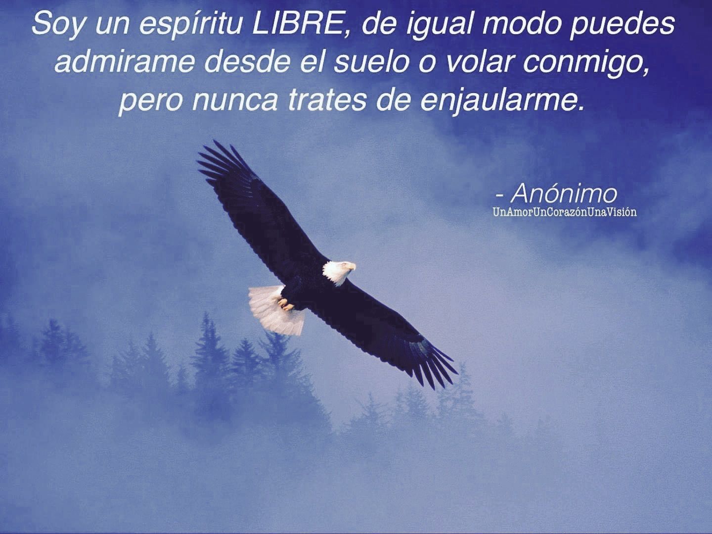 Sácale El Máximo Provecho A La Libertad: 43 Frases Inspiradoras