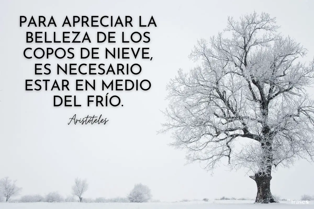 Frío Invierno Encanto: 66 Frases Inspiradoras