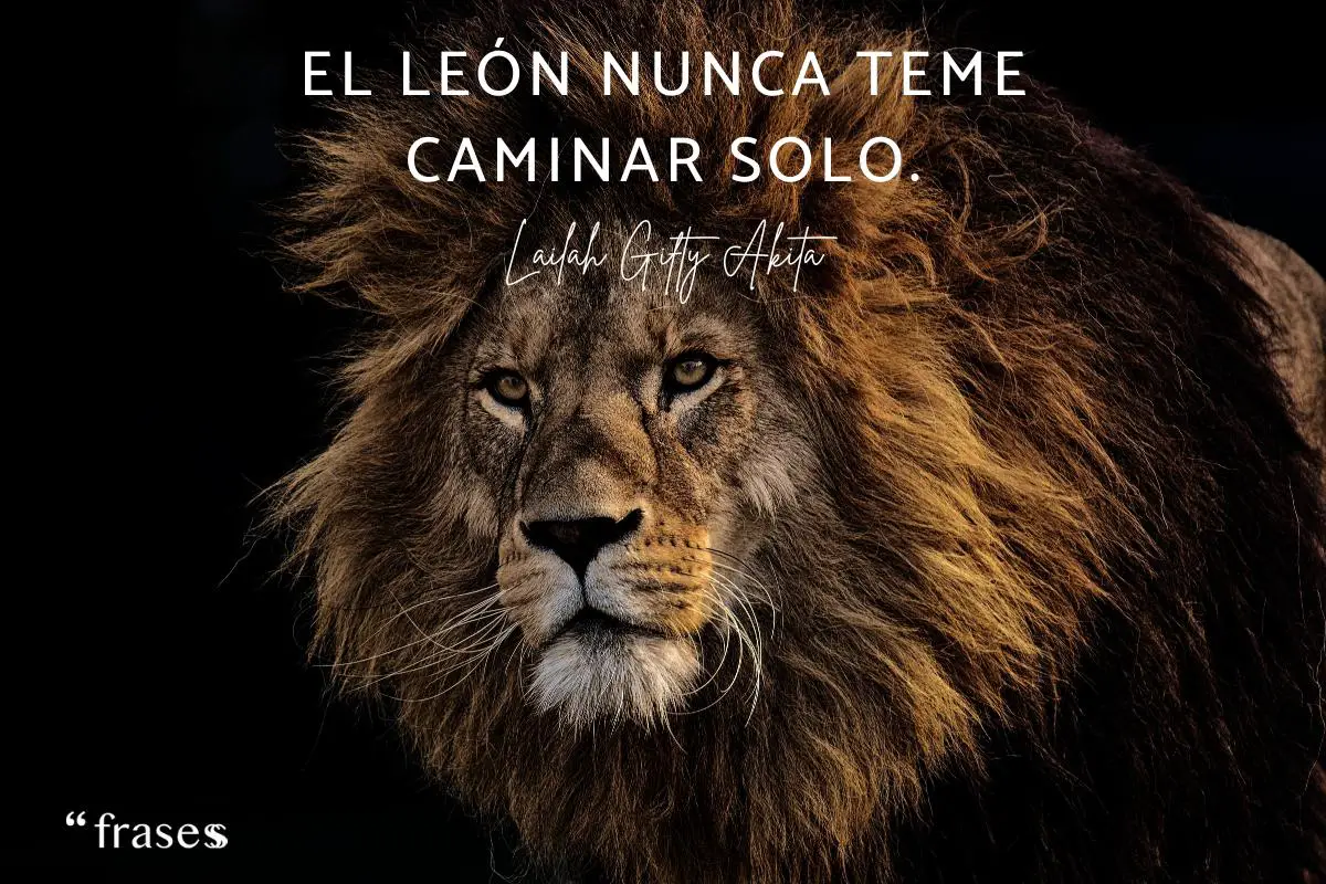 41 Frases De Sabiduría De Los Leones