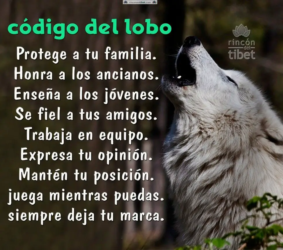 Top 83+ imagen imagenes de lobos con mujeres con frases 